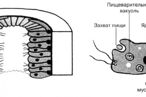 Зеркало омг омг омг