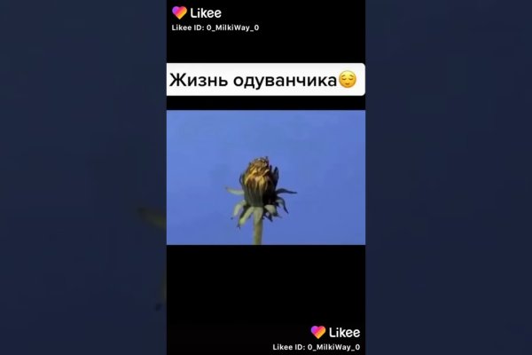 Omg omg зеркало рабочее